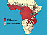 Tsetse infested areas in Africa